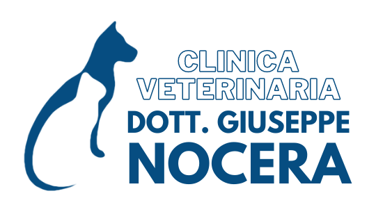 Clinica Veterinaria Nocera